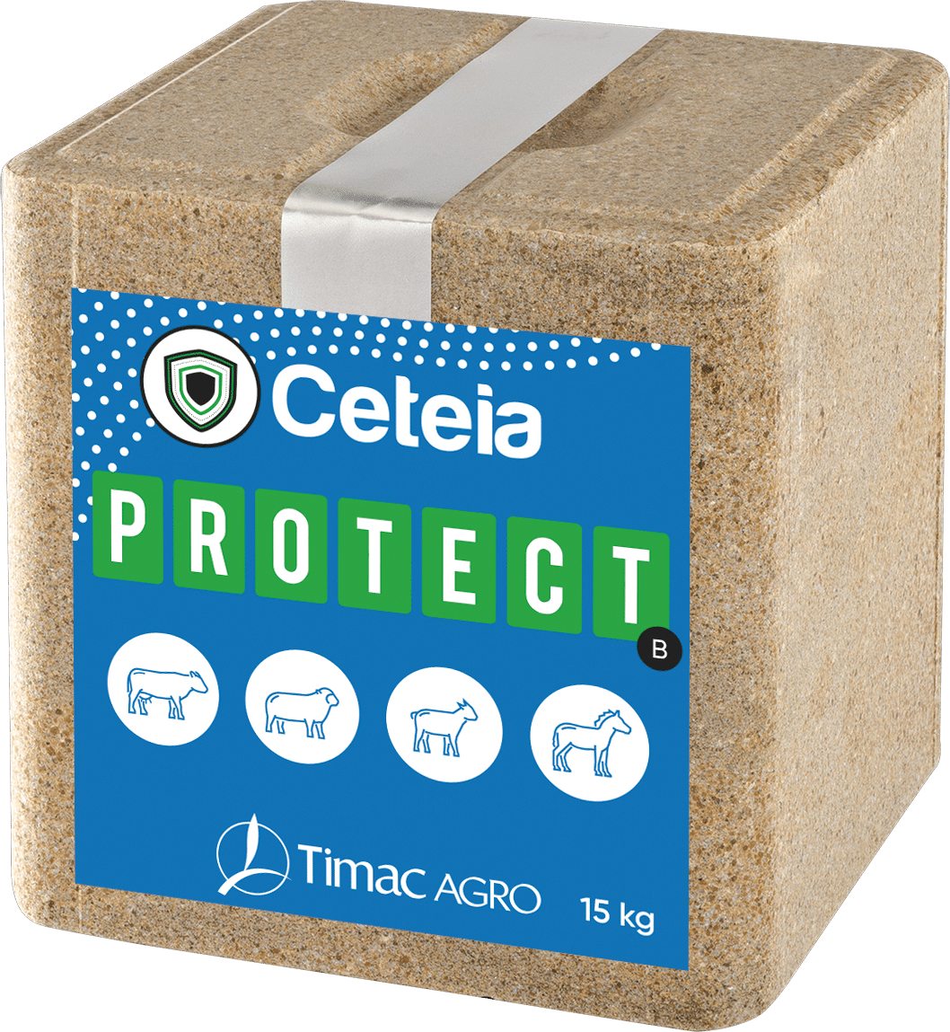 CETEIA PROTECT
