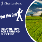 thumbnails out the gap